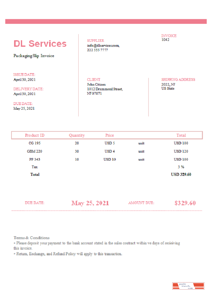 USA DL Services invoice PSD template